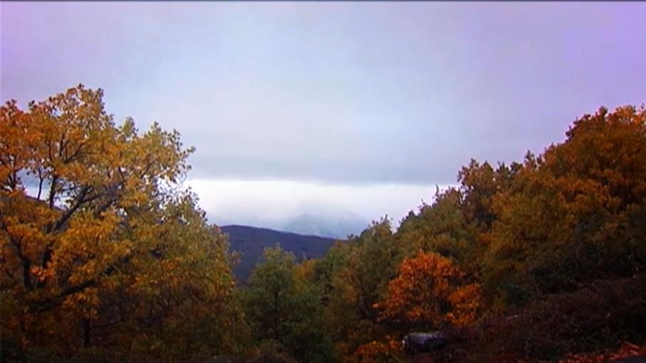 El otoño extremeño rompe fronteras