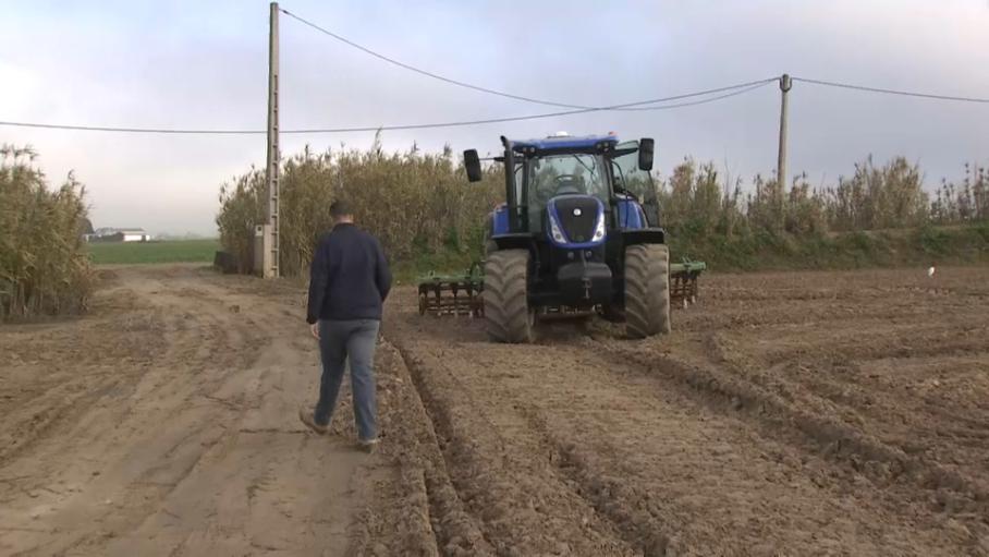 Jóvenes agricultores y ganaderos