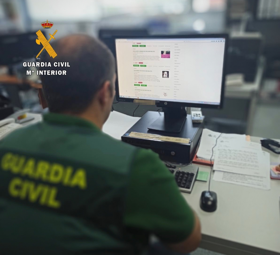Agente del grupo tecnológico de la Guardia Civil de Cáceres