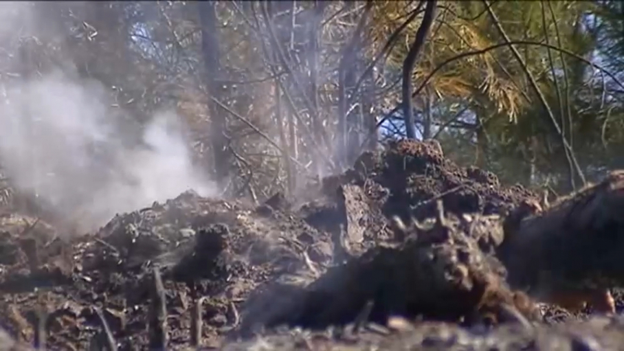 Más de 500 lechones mueren en un incendio