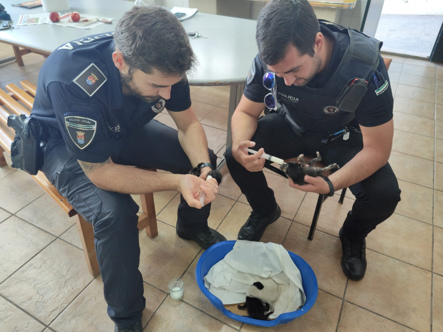 Agentes de la Policía Local de Los Santos de Maimona alimentando a los gatos