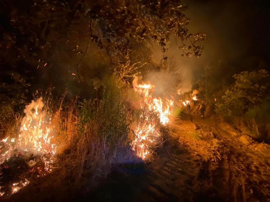 Incendio forestal en Peraleda