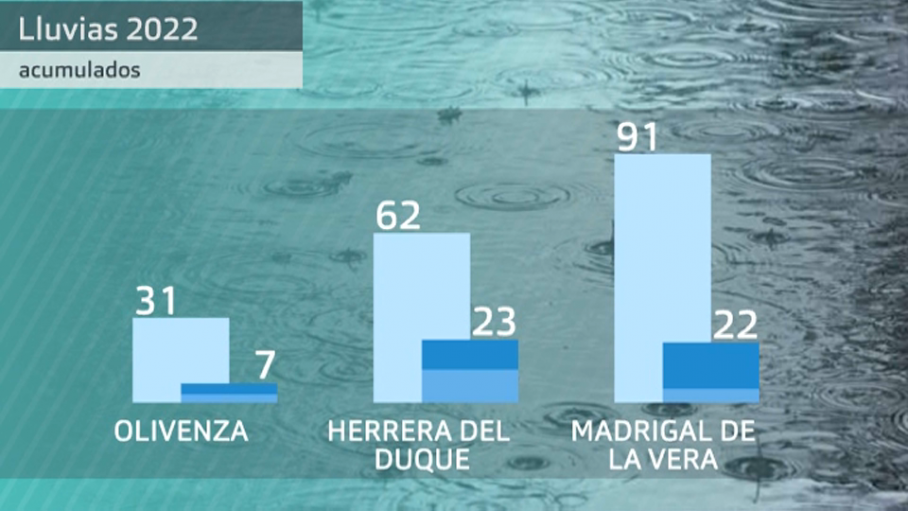 Gráficos de barras de datos de precipitación (mm) en marzo (columna izquierda) y en febrero (dcha. superior) y enero (dcha. inferior) Fuente: AEMET