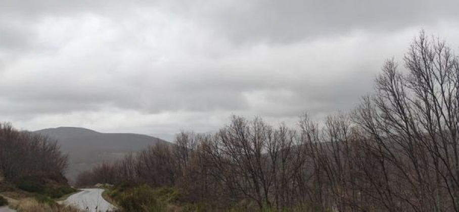 Imagen de lluvia de Barrado