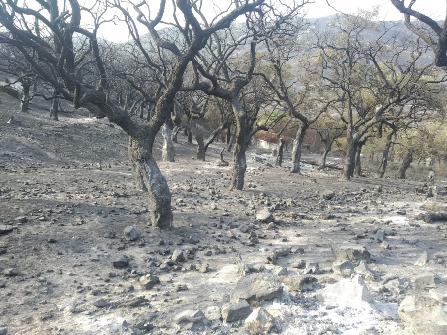 Incendio en Casas de Miravete