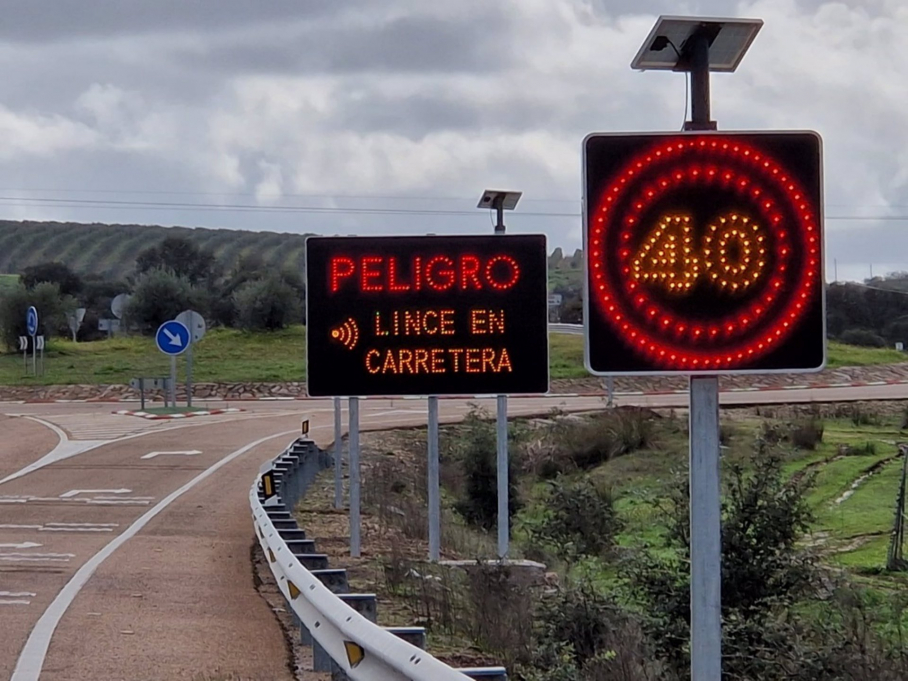 Señales de tráfico linces