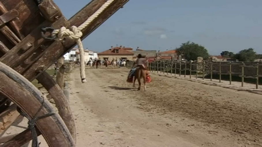 Carreras de gallos Albalá