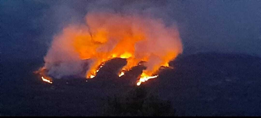 Incendio en La Vera