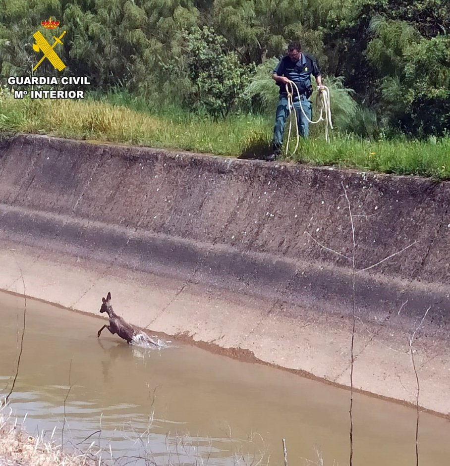 Rescate en el Canal de Las Dehesas