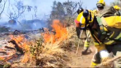 Incendio forestal en Pozuelo de Zarzón