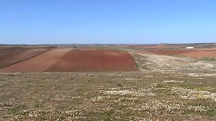 Consecuencias del cambio climático