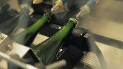 Botellas de cava preparadas para el degüelle