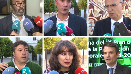 Reacciones a la citación para declarar como investigado a Miguel Ángel Gallardo y David Sánchez Pérez-Castejón