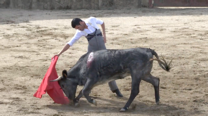 Tentaderos, Carriquiri, Victorino Martín, Paco Ureña, Emilio de Justo, Perera, Juan Bazaga, Tierra de Toros, Canal Extremadura