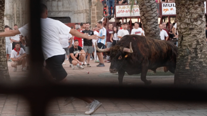 Festejo popular, encierros, capeas, festejo tradicional, toros, vaquillas, Juan Bazaga, Tierra de Toros, Canal Extremadura