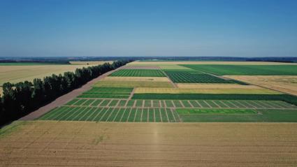 Fincas en las que se practica agricultura de carbono