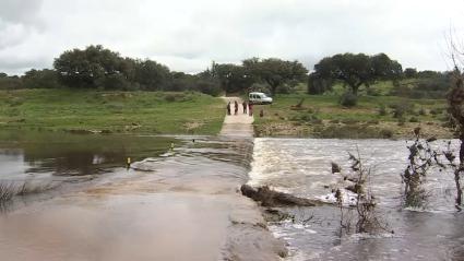 Crecida del río Salor