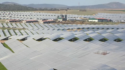 Planta fotovoltaica en Extremadura