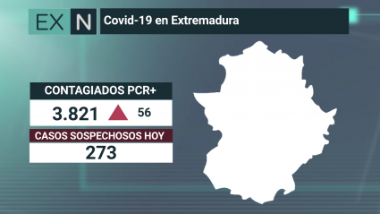 Resumen de los datos epidemiológicos acumulados