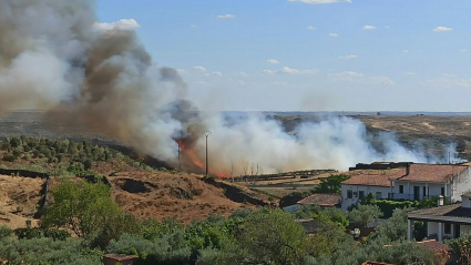 Imagen del incendio en Cañaveral