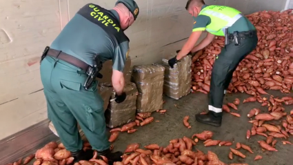 Intervención de droga de la Guardia Civil