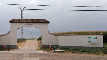 Finca donde se ha producido el accidente