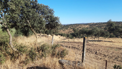 Paraje cercano al lugar de los hechos