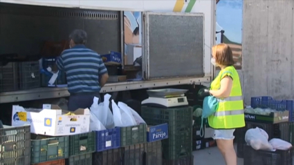 Voluntarios ayudando en Villarta de los Montes