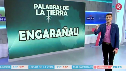 Palabras de la tierra: ENGARAÑAU