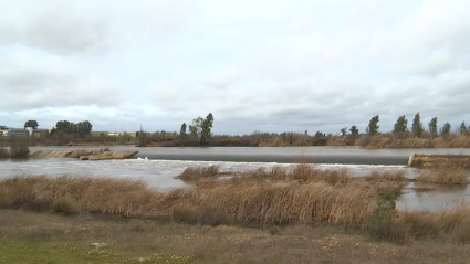 Imagen del azud del río Guadiana a su paso por Badajoz.