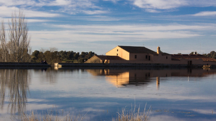 Museo Vostell