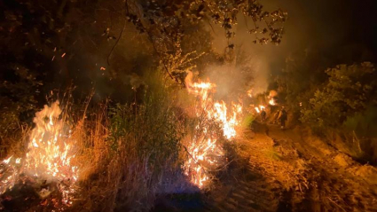 Incendio forestal en Peraleda