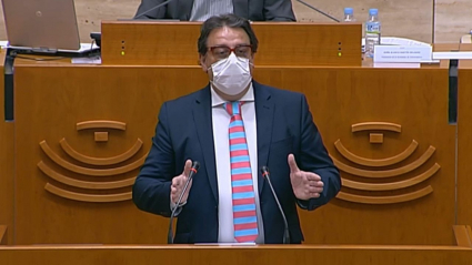 El consejero de Sanidad, José María Vergeles, durante su comparecencia en la Asamblea