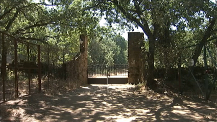 Brote en un campamento infantil celebrado en Cuacos de Yuste