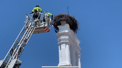 Trabajador rescatando pollo de cigüeña en la espadaña del Parador de Mérida.