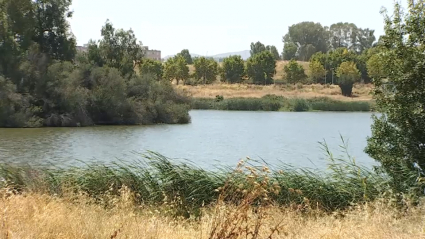 Orilla del Guadiana a su paso por Mérida