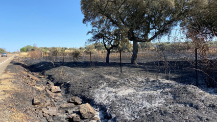 Incendio en Madroñera.