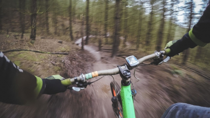 bici entre bosques