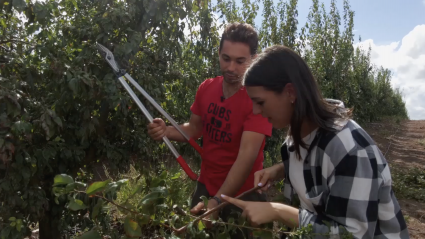 Sara aprende a podar un ciruelo