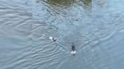 Mujer rescatando a su perro en el Guadiana