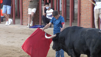 Toros en Montánchez