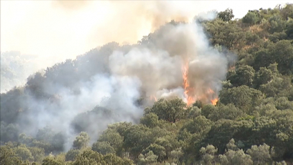 Incendio forestal en Extremadura