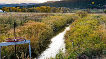 Acequia 