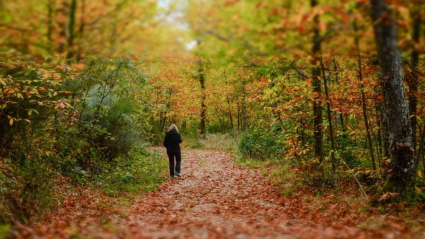 Uno de los paisajes otoñales que podemos ver en el entorno de Hervás