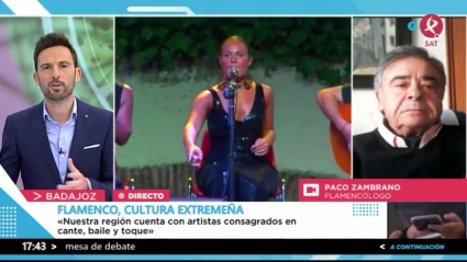 Día Internacional del flamenco