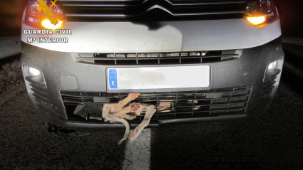 Un perro, atrapado en la rejilla del vehículo