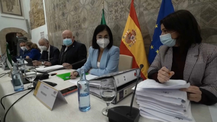 Una reunión reciente del Consejo Interterritorial de Salud este mes de diciembre, en Córdoba.