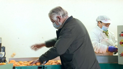 Miguel Pozo, agricultor, envasador y distribuidor de 'Naranjas de Montijo'