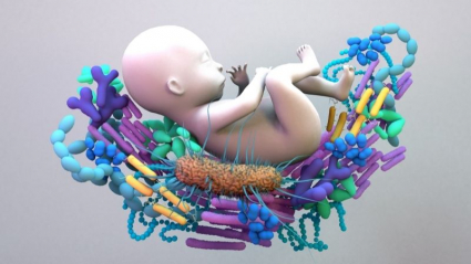 microorganismos alrededor de un bebé