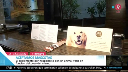 El primer hotel en Cáceres en admitir mascotas